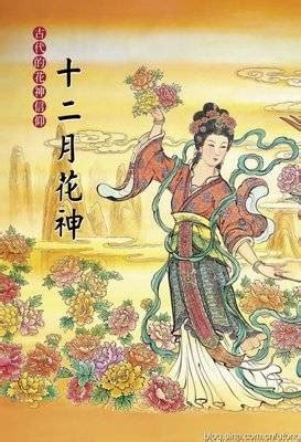 神仙花|花神（中国传统文化解释）